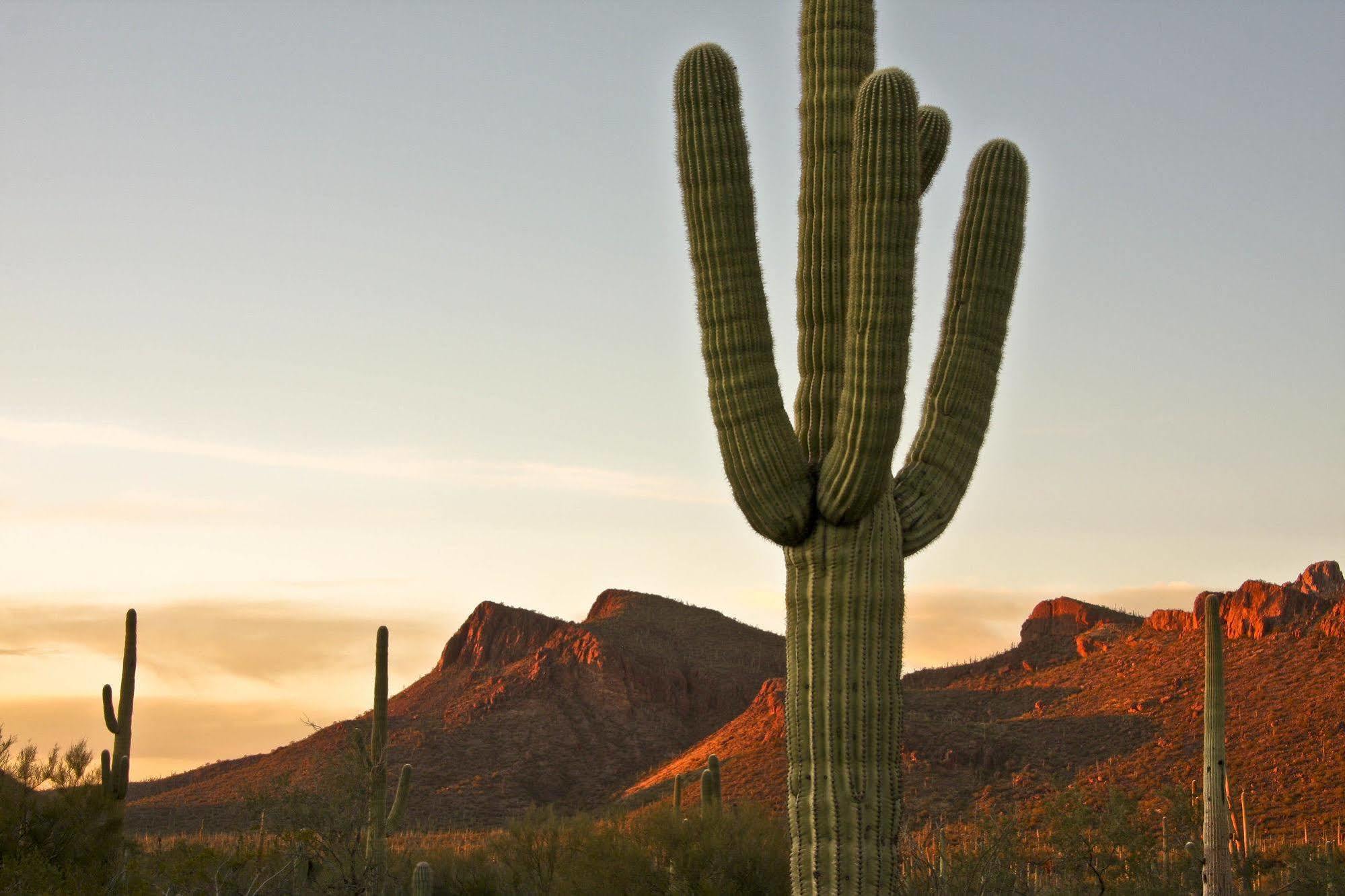 Tucson Marriott University Park Eksteriør billede